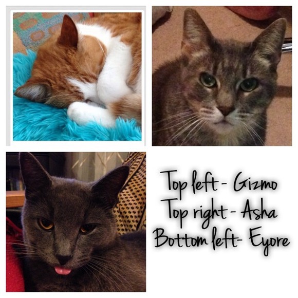 🌴MEET YOUR SELLER🌴BUYER - Part 1 - Picture 3 of 4