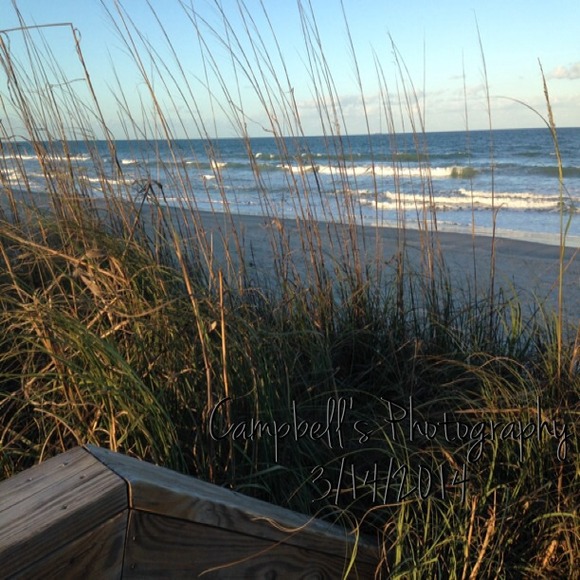 🌴MEET YOUR SELLER🌴BUYER - Part 1 - Picture 4 of 4