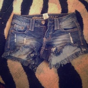 Blue Asphalt Shorts! Size 0