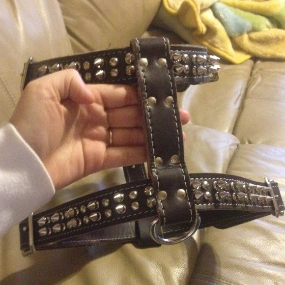 Dog collar size 40