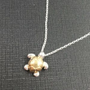 Turtle necklace