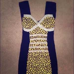 Animal Print/Black Bandage Dress