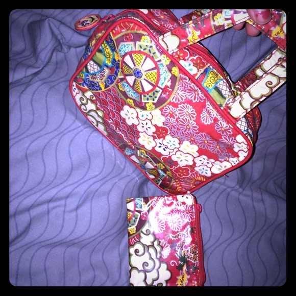 Cute Nick & Nora purse with a matching coin purse