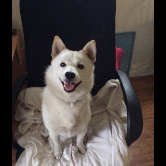 💋💋💋Meet your seller and buyer( love to shop!) - Picture 4 of 4