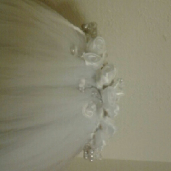 Veil - Picture 2 of 4