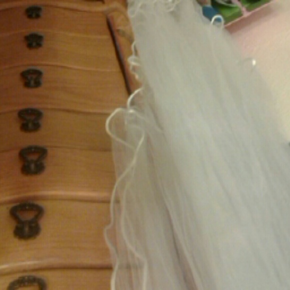 Veil - Picture 4 of 4