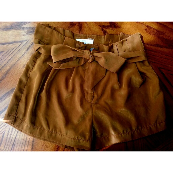 Brown High Waisted Shorts