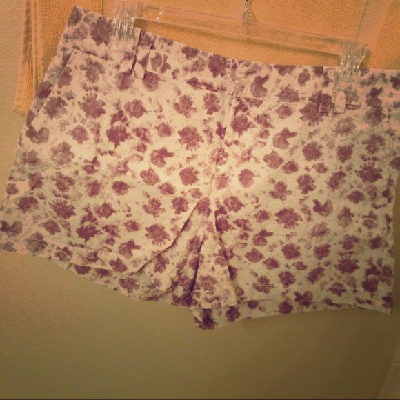 Ann Taylor LOFT Shorts