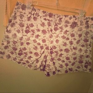 Ann Taylor LOFT Shorts