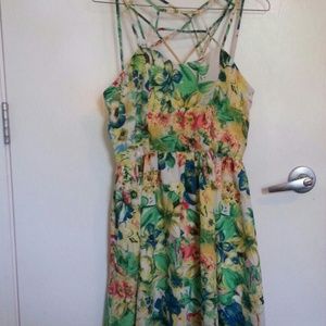 Short cage top dress