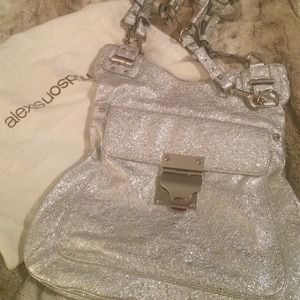 Alexis Hudson silver metallic purse 👝💕