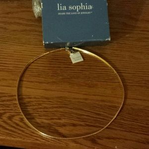 Lia Sophia reversible omega necklace