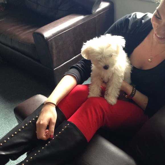 Meet Milky 🐾 - Picture 3 of 4