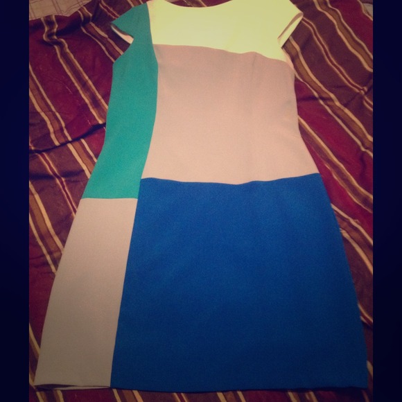 Multicolor professional dress (Sandra Darren)