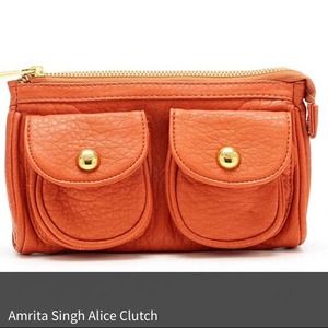 Gorgeous Orange Clutch