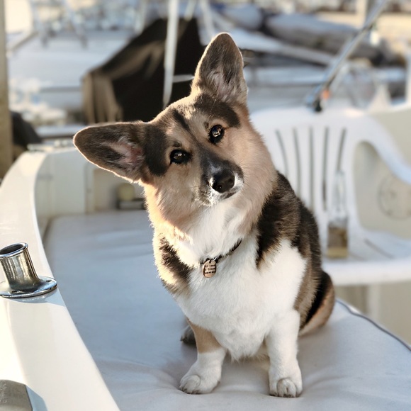 📍meet your seller 📍👋 - Picture 2 of 4