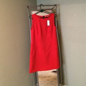 Ann Taylor Loft dress