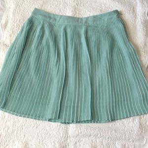 Bundle-Pleated Mint Skirt/Brandy Crop Top