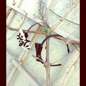 2 Heads are better than 2 Headbands that is bundle