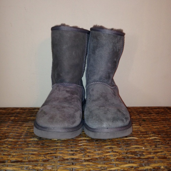 Short grey Ugg boots