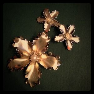 Vintage Clip On Earrings and broach set