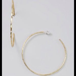 Ionia Brass Hoop Earrings