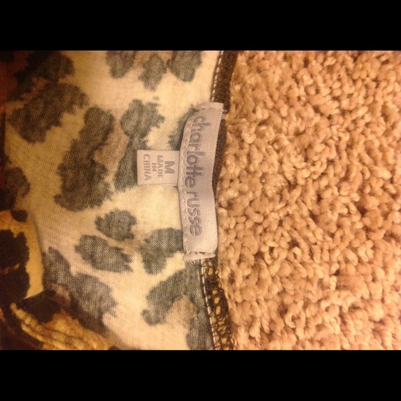 Leopard tank - Picture 2 of 2