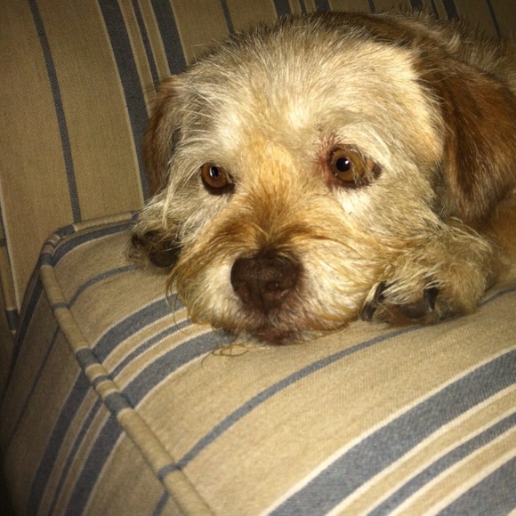 Sorry! - Picture 2 of 2