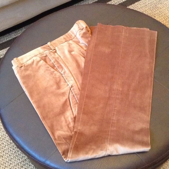 Velvet pant. Sz. 14