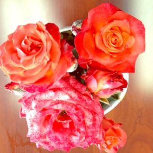 Just sharing the love with these beautiful flowers