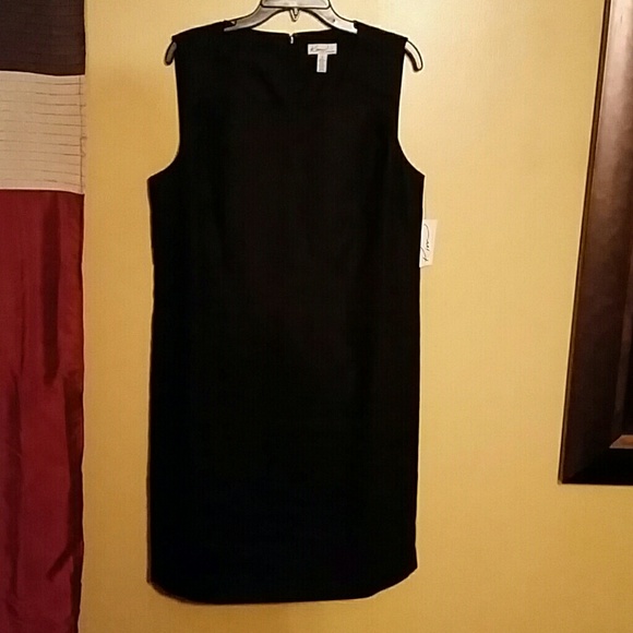 NWT Linen sheath