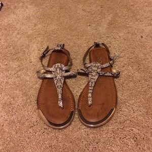 Snake skin print ALDO sandals with gold toe accent