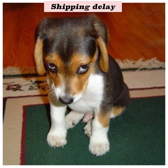 🏥🚨SHIPPING DELAY🚨🏥