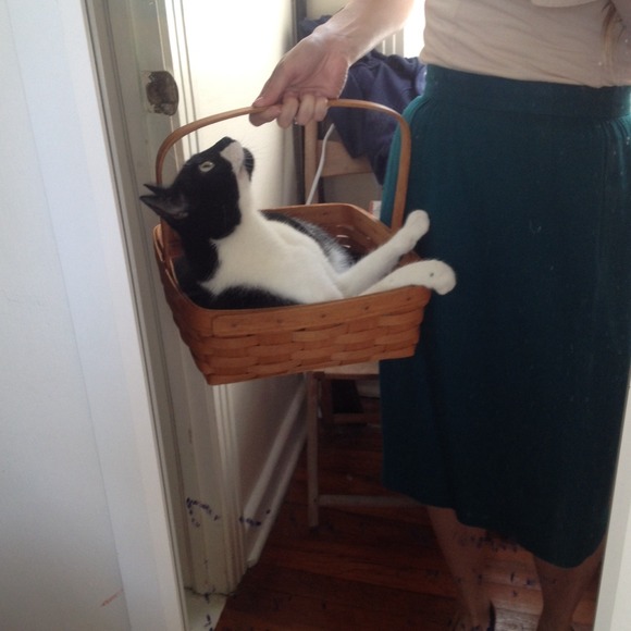 For Holly! Now Presenting! 😻 - Picture 3 of 4