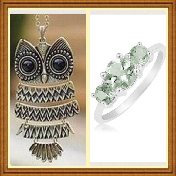 Jewelry - 🎉HP🎉Long owl necklace