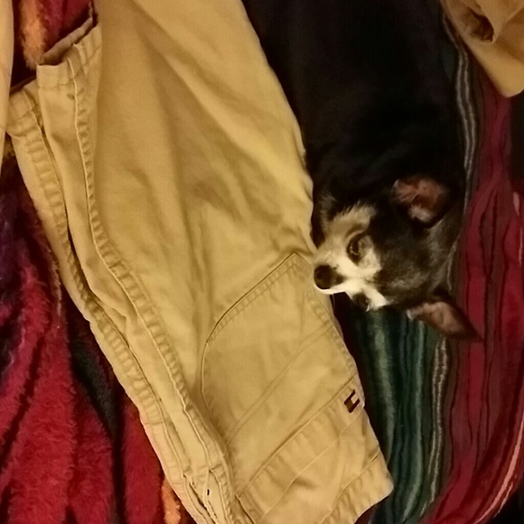 Khaki shorts - Picture 2 of 4