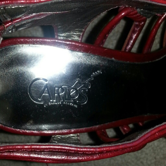 Carlos - Picture 4 of 4