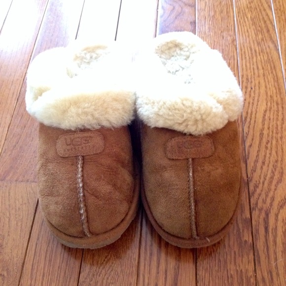 Chestnut ugg slippers!