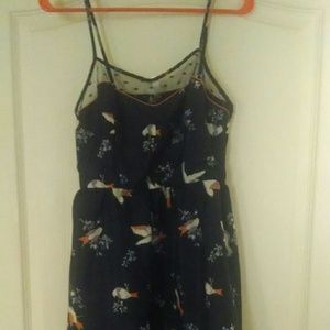 Cute high low dress!