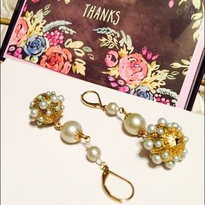 NWOT Beautiful drop earrings!