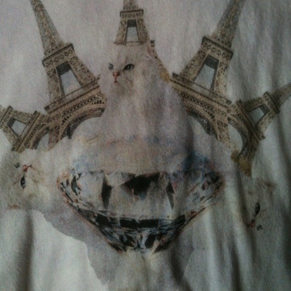 Wildfox cat Eiffel Tower diamond destroyed hem tee - Picture 2 of 4