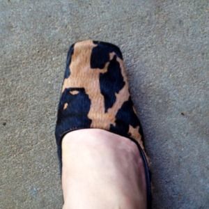 2in mules