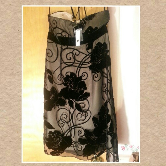 NWT White House, Black Market size 2 - Picture 2 of 4