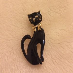 Black cat broach