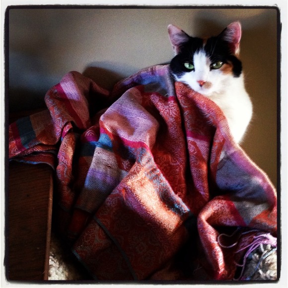 💥Meet your seller💥 - Picture 2 of 3