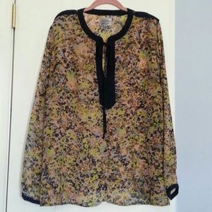 Beautiful sheer blouse