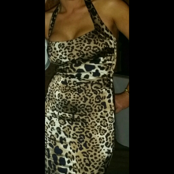 💄CACHE LEOPARD PRINT DRESS💄