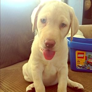 My new baby girl!