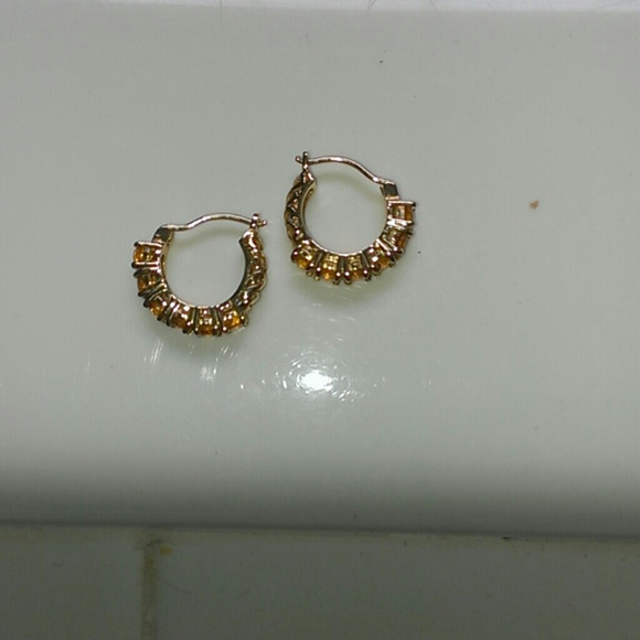 On hold.........Small hoop earrings