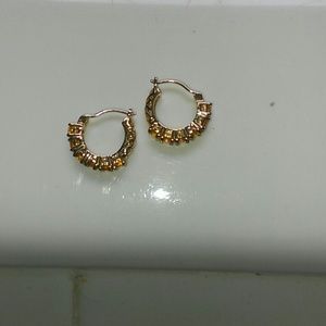 On hold.........Small hoop earrings